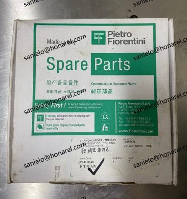 PIETRO FIORENTINI regulator & kits for APERFLUX 101  SIZE 3 INC