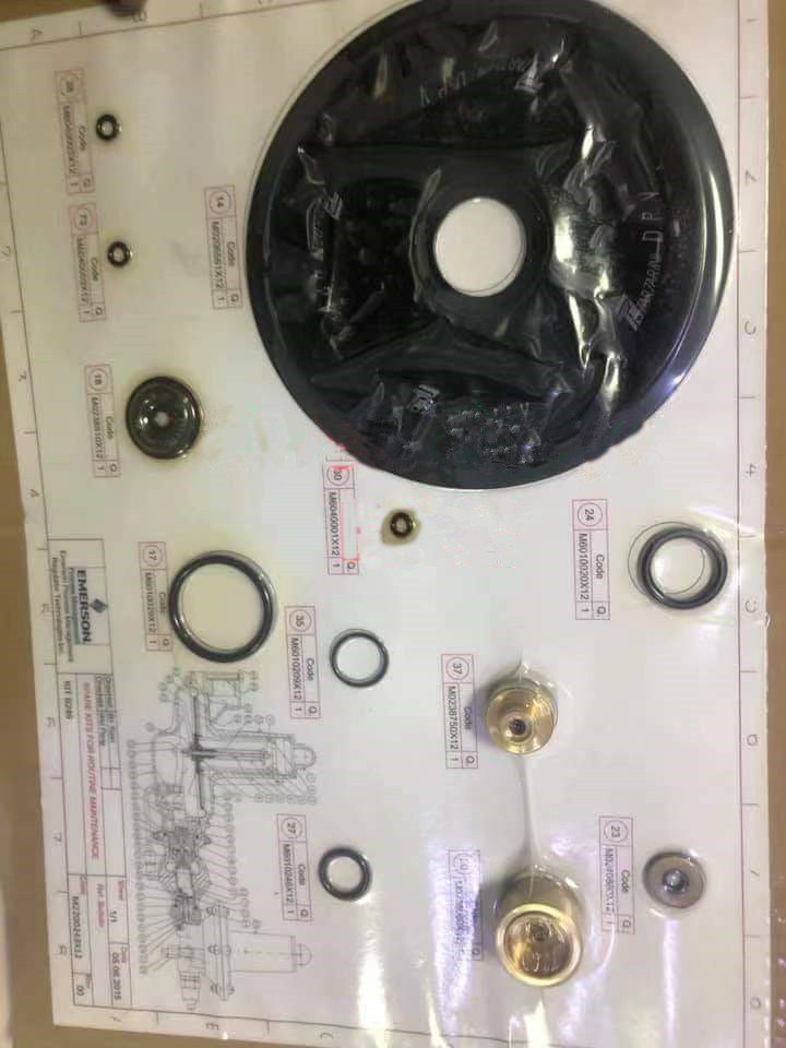 Tartarini B249 Regulator Spare Parts Repair Kit: Essential for Maintenance