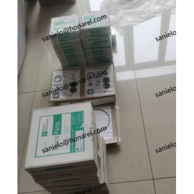 PIETRO FIORENTINIPILOT 302A +AR100 regulator &amp; kits