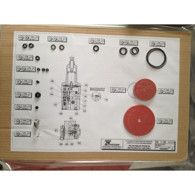 Tartarini PS/80 Pilot Spare Parts Kit: Key Components for Maintenance
