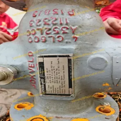 Valve Body Parts RZD-REDX1 16" CL900 Mokveld